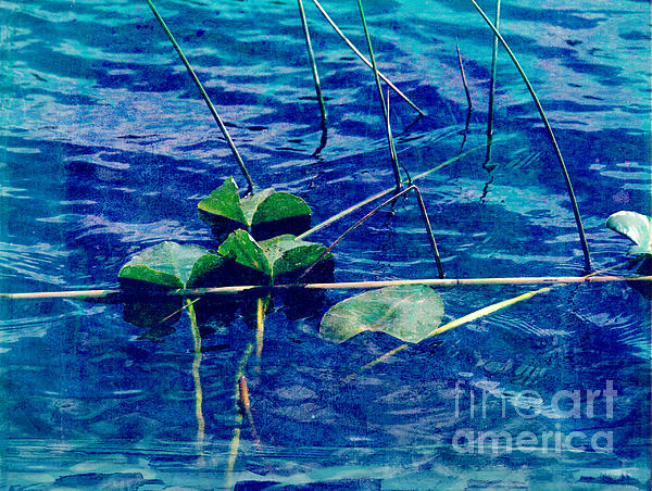 Blue Photograph