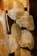 Poster / Fine Art Print