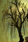 Poster / Fine Art Print
